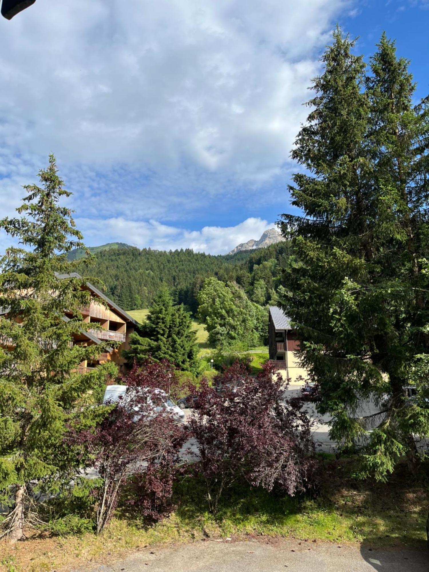 Cosy 2 Pieces Proche Chatel Abondance Exterior foto
